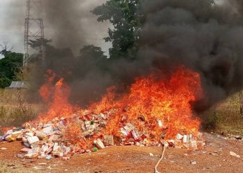 Man, 27 millions FCFA de produits prohibés incinérés