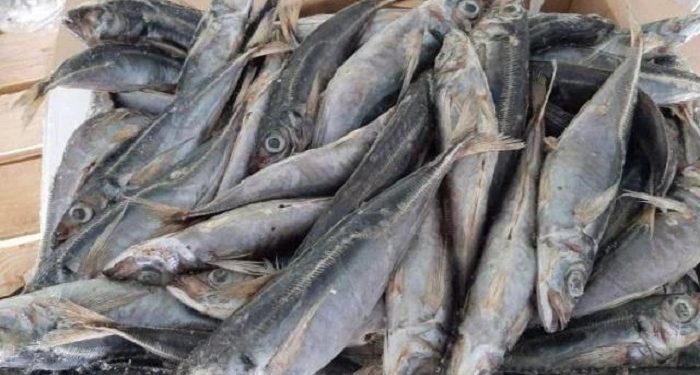 Poissons congelés, le gouvernement obtient une baisse de 2 500 FCFA par carton